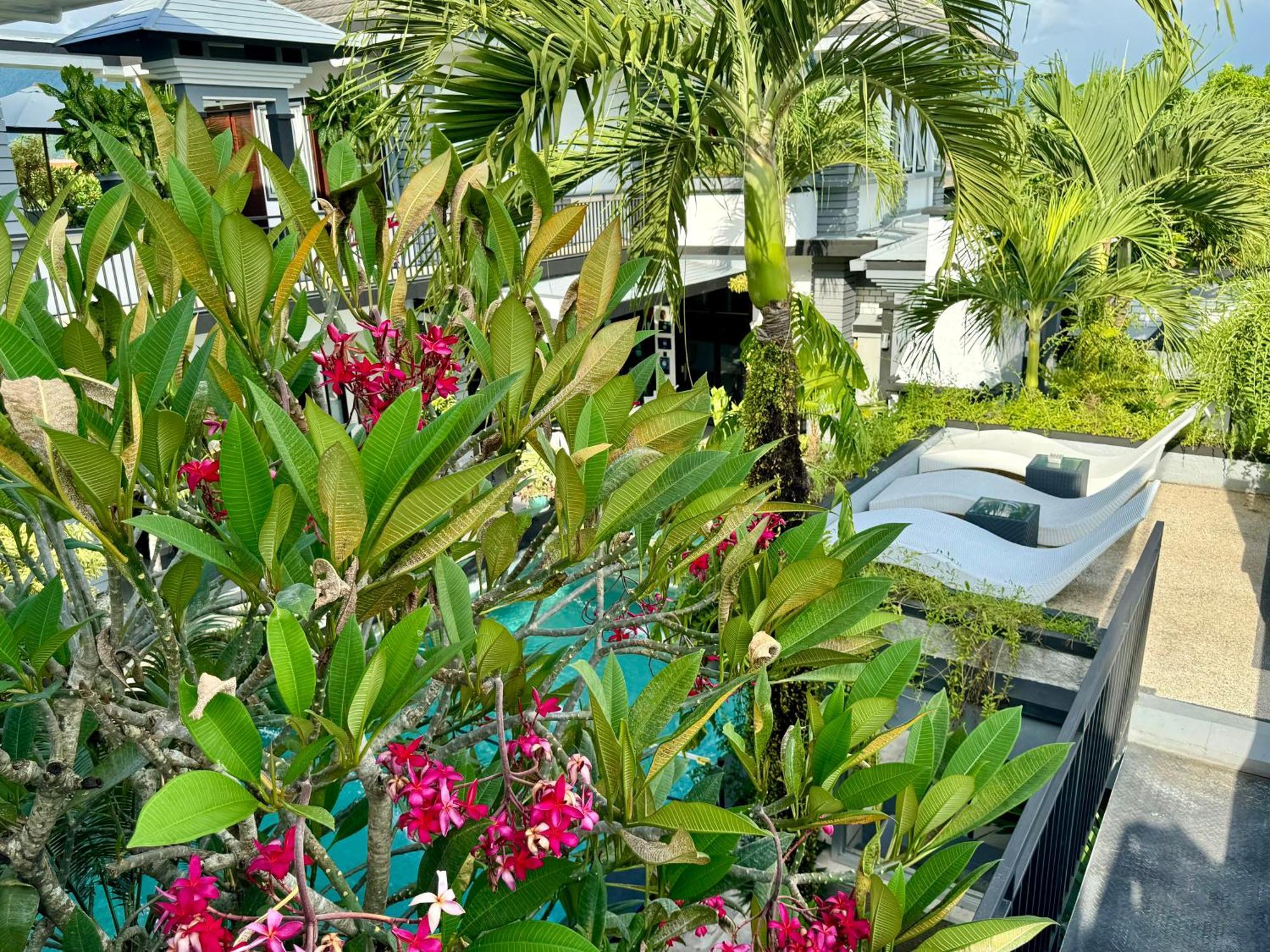 Villa Rumah Putih Abu Abu Senggigi Zewnętrze zdjęcie